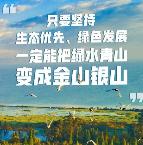 博潤創(chuàng)投企業(yè)服務(wù)中心攜手水木綠洲環(huán)保科技,引領(lǐng)甘泉堡工業(yè)園綠色化發(fā)展