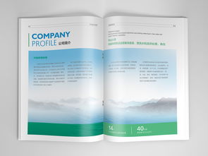 石家莊興燦環(huán)保科技平面書裝設(shè)計(jì)賞析——袁曉樂作品展示于站酷