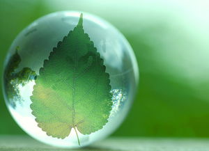 十三五環(huán)?？萍键c(diǎn)將專(zhuān)項(xiàng) 推動(dòng)行業(yè)實(shí)現(xiàn)全方位跨越