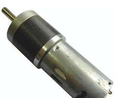 深圳市順昌馬達廠 專業(yè)供應高品質24V微電機馬達